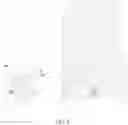 Fig. 07 - Device for touch and fingerprint recognition