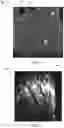 Fig. 03 - Biometric identification using composite hand images