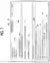 Fig. 07 - Information processing apparatus and non-transitory computer readable medium