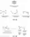 Fig. 10 - Neural network based identification document processing system