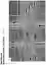 Fig. 26 - Vehicular driving assist system