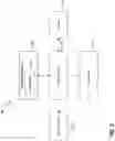 Fig. 04 - Using an illumination sequence pattern for biometric authentication
