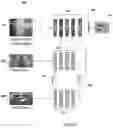 Fig. 05 - Indoor localization using real-time context fusion of visual information from static and dynamic cameras