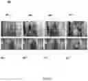 Fig. 07 - Indoor localization using real-time context fusion of visual information from static and dynamic cameras