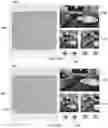 Fig. 12 - Indoor localization using real-time context fusion of visual information from static and dynamic cameras