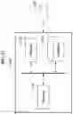 Fig. 12 - Subject recognizing method and apparatus