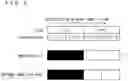 Fig. 07 - Thermal printer and printing method having extended image data in a feeding direction