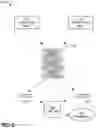 Fig. 08 - EMBEDDED LEARNING FOR RESPONSE PREDICTION IN CONTENT ITEM RELEVANCE