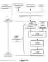 Fig. 19 - Methods and systems of assertional simulation