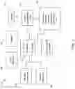 Fig. 02 - Classifying a dataset for model employment