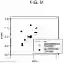 Fig. 09 - METHOD FOR EXTRACTING FEATURES, STORAGE MEDIUM, AND APPARATUS FOR EXTRACTING FEATURES