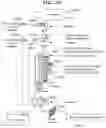 Fig. 08 - Electronic payment clearing and check image exchange systems and methods