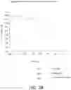 Fig. 09 - Classification of query text to generate relevant query results
