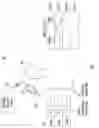 Fig. 02 - SYSTEMS, METHODS, AND ARTICLES OF MANUFACTURE FOR PROVIDING FREQUENTLY PURCHASED ITEM RELOCATION INFORMATION TO CUSTOMERS