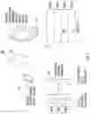 Fig. 03 - SYSTEMS, METHODS, AND ARTICLES OF MANUFACTURE FOR PROVIDING FREQUENTLY PURCHASED ITEM RELOCATION INFORMATION TO CUSTOMERS