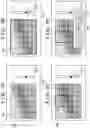 Fig. 09 - Image processing apparatus and method of controlling the same