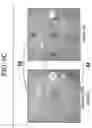 Fig. 08 - Ophthalmological image processing apparatus