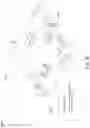 Fig. 29 - Generating two-dimensional plan from three-dimensional image data