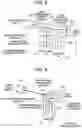 Fig. 09 - Vehicle and video image output device