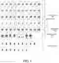 Fig. 02 - LEARNING MATH USING MATH TEMPLATES AND OPERATION-NUMBER CONJUGATES
