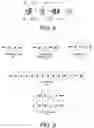 Fig. 06 - LEARNING MATH USING MATH TEMPLATES AND OPERATION-NUMBER CONJUGATES