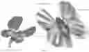 Fig. 32 - LEARNING KITS