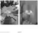 Fig. 68 - LEARNING KITS