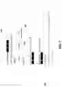 Fig. 08 - Systems and methods for audio interpretation of media data