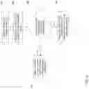 Fig. 04 - Auxiliary display scaling factor