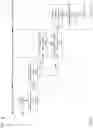 Fig. 09 - Continuous speech recognition using dual neural networks