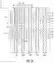 Fig. 11 - Multi-gate NOR flash thin-film transistor strings arranged in stacked horizontal active strips with vertical control gates