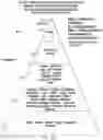 Fig. 06 - PREDICTING SUICIDALITY USING A COMBINED GENOMIC AND CLINICAL RISK ASSESSMENT