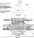 Fig. 07 - PREDICTING SUICIDALITY USING A COMBINED GENOMIC AND CLINICAL RISK ASSESSMENT