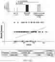 Fig. 08 - PREDICTING SUICIDALITY USING A COMBINED GENOMIC AND CLINICAL RISK ASSESSMENT