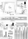 Fig. 13 - PREDICTING SUICIDALITY USING A COMBINED GENOMIC AND CLINICAL RISK ASSESSMENT