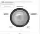 Fig. 10 - Population-based medication risk stratification and personalized medication risk score