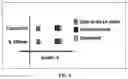 Fig. 07 - In silico methods for obtaining nutraceutical compositions