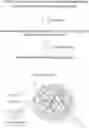 Fig. 01 - Polymer-silica hybrid Pdots and methods of use thereof