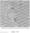 Fig. 18 - Polymer-silica hybrid Pdots and methods of use thereof