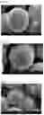 Fig. 02 - MAGNETORHEOLOGICAL FLUID COMPOSITION