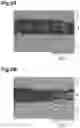 Fig. 07 - Magnet structure, method of manufacturing magnet structure, and motor