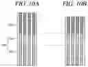 Fig. 08 - Plasma etching apparatus and plasma etching method