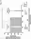 Fig. 15 - Rapid identification and sequence analysis of intact proteins in complex mixtures