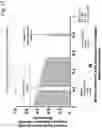 Fig. 18 - Rapid identification and sequence analysis of intact proteins in complex mixtures