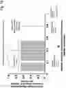 Fig. 19 - Rapid identification and sequence analysis of intact proteins in complex mixtures