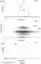 Fig. 07 - Swath® to extend dynamic range