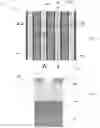 Fig. 09 - Single diffusion cut for gate structures