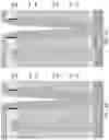 Fig. 72 - Memory die containing stress reducing backside contact via structures and method of making the same