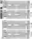 Fig. 75 - Memory die containing stress reducing backside contact via structures and method of making the same