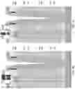 Fig. 79 - Memory die containing stress reducing backside contact via structures and method of making the same
